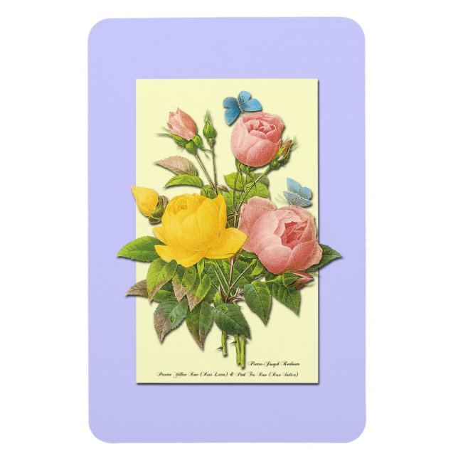 Botanical Pink Yellow Roses Magnet (Vertical)