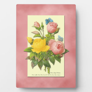 Botanical Pink Yellow Roses Plaque
