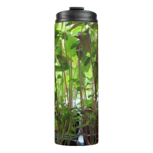 Botanical Plant Seedlings Photo Thermal Tumbler