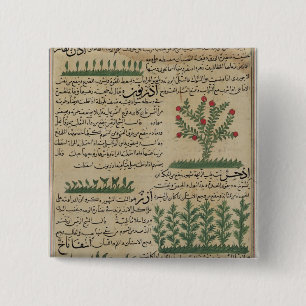 Botanical plants, illustration from 'The 15 Cm Square Badge