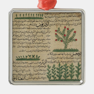 Botanical plants, illustration from 'The Metal Tree Decoration
