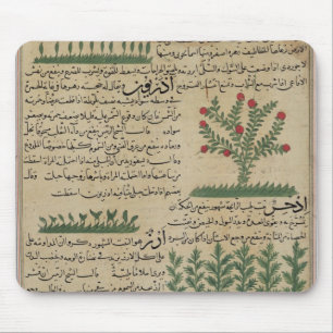 Botanical plants, illustration from 'The Mouse Mat