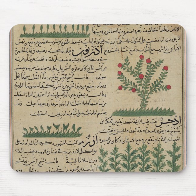 Botanical plants, illustration from 'The Mouse Mat (Front)