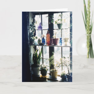 Botanical Plants in Colourful Glass Bottles Card