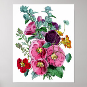Botanical Print - Hollyhocks & Roses