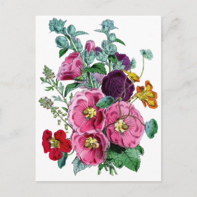 Botanical Print - Hollyhocks & Roses Postcard (Front)