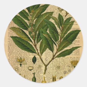 Botanical print on old book page classic round sticker