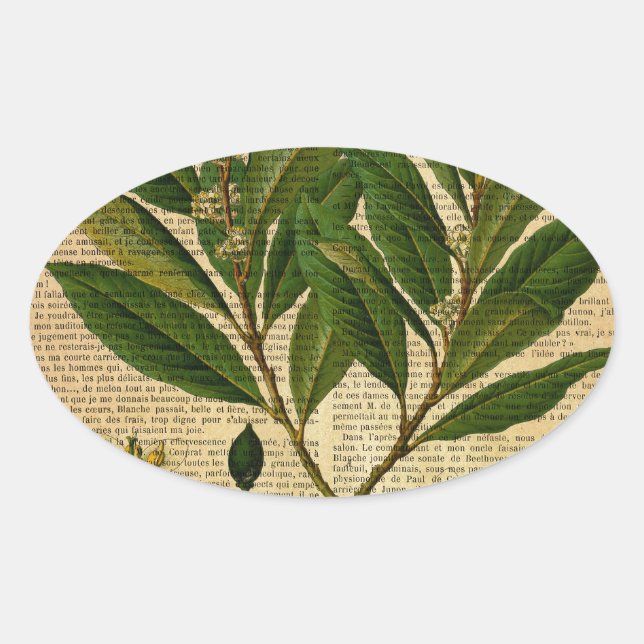 Botanical print on old book page oval sticker (Front)