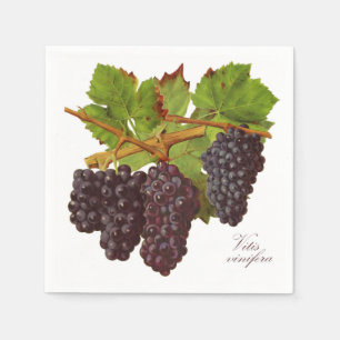 Botanical Purple Grapes Paper Napkins (Set of 50)