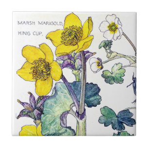 Botanical Ranunculus Wildflower Flowers Tile