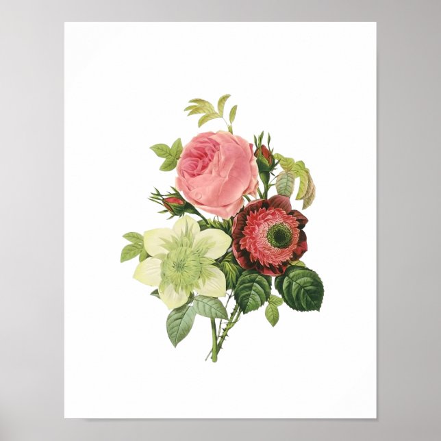 Botanical Rose Clementis Anemone Redoute Poster (Front)
