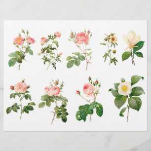 Botanical Roses Fussy Cuts with Script on the back