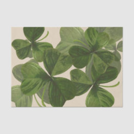 Botanical Shamrock Photos on Custom Colour Tissue Paper