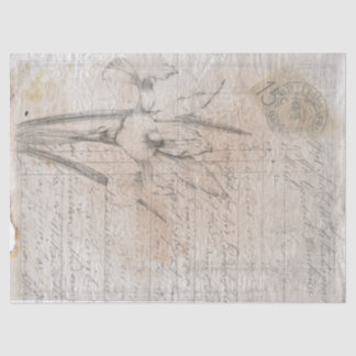 Botanical sketch antique writing decoupage paper. tissue paper