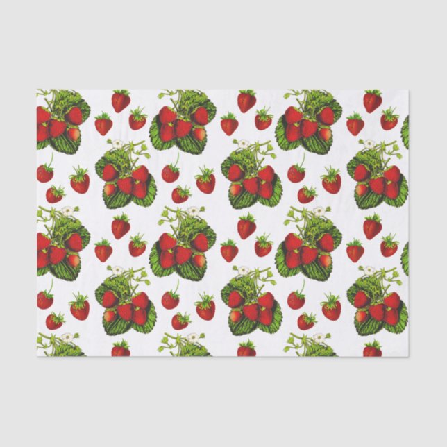 Botanical Strawberry Illustration Print on White Tissue Paper (Front)