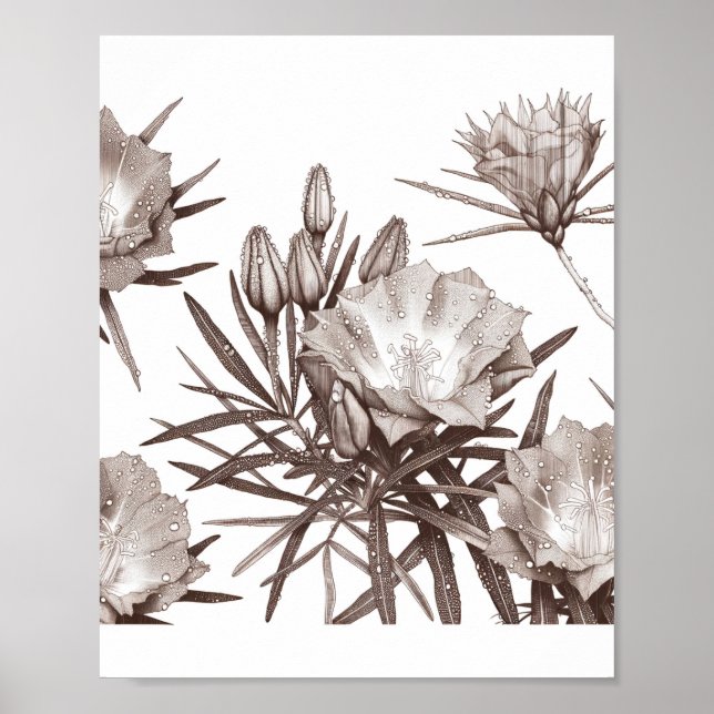 Botanical Study - Desert Wildflowers Poster (Front)
