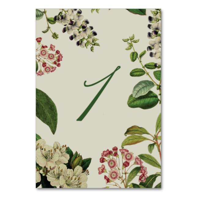BOTANICAL TABLE NUMBERS- CREAM TABLE NUMBER (Front)