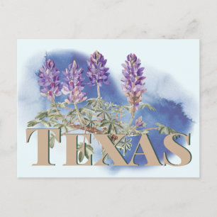 Botanical Texas Bluebonnet 2 Postcard