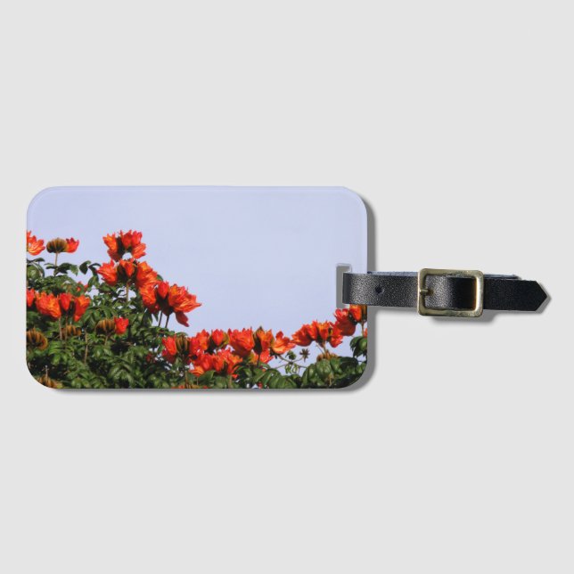 Botanical Tropical African Tulip Tree Luggage Tag (Front Horizontal)