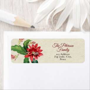 Botanical Vintage Red Christmas Cactus Flower