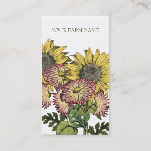 Botanical Vintage Sunflower Business Card (Front)