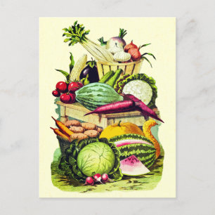 Botanical Vintage Vegetables Garden Farm Harvest Postcard