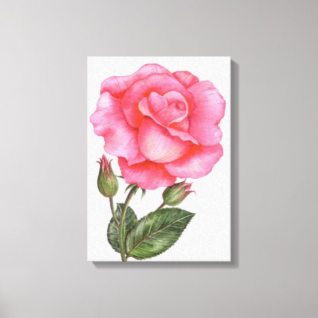 Botanical Wall Art Pink Rose Floral Art Flower (Front)