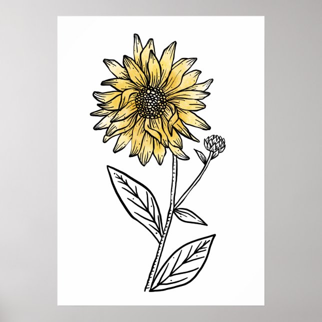 Botanical watercolor aesthetic line art sunflower  poster (Front)