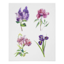 Botanical Watercolor Studies – Lilac, Peony, Iris