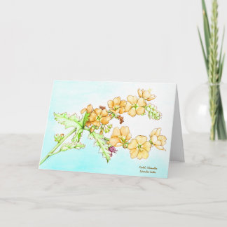 Botanical watercolor wildflower globemallow card