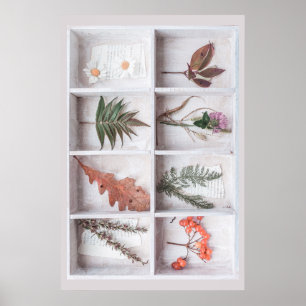 Botanical White Shadow Box, flowers leaves ferns Poster