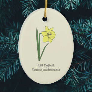 Botanical Wild Daffodil Pastel Flower  Ceramic Tree Decoration
