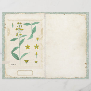 Botanical Wildflower Junk Journal Page Front/Back