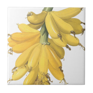 Botanical Yellow Bananas Tile