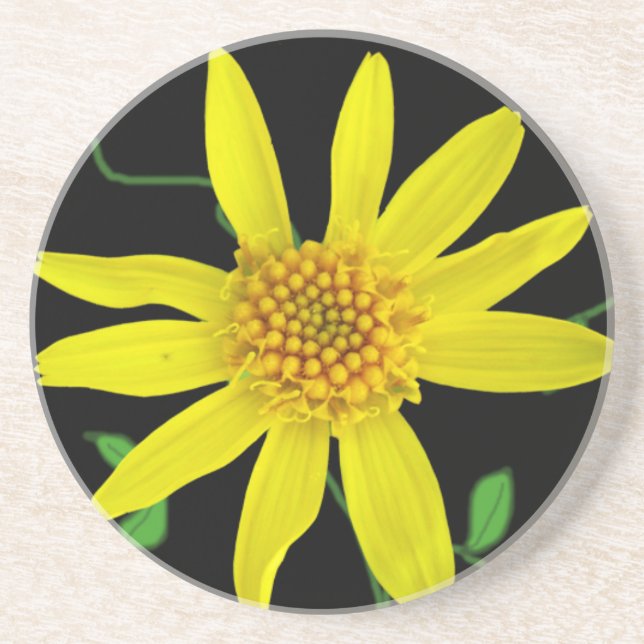 Botanical Yellow Wildflower on any Colour Coaster (Front)