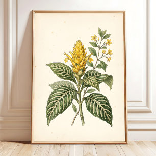 Botanical Zebra Plant Gallery Wall Art