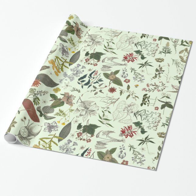 Botany pattern 1 wrapping paper (Unrolled)