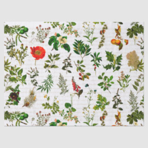 Botany Pharmaceutical Herbs Flowers Herbarium Tissue Paper