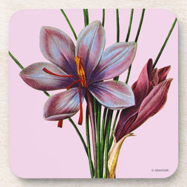 Botany: Saffron Coaster (Front)
