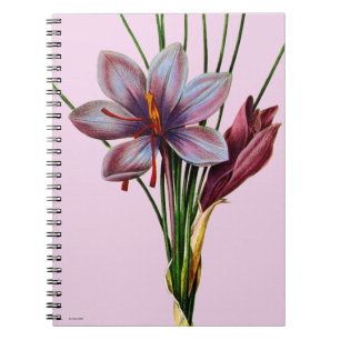 Botany: Saffron Notebook