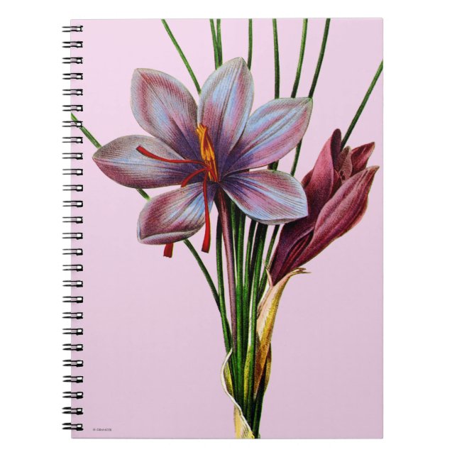 Botany: Saffron Notebook (Front)