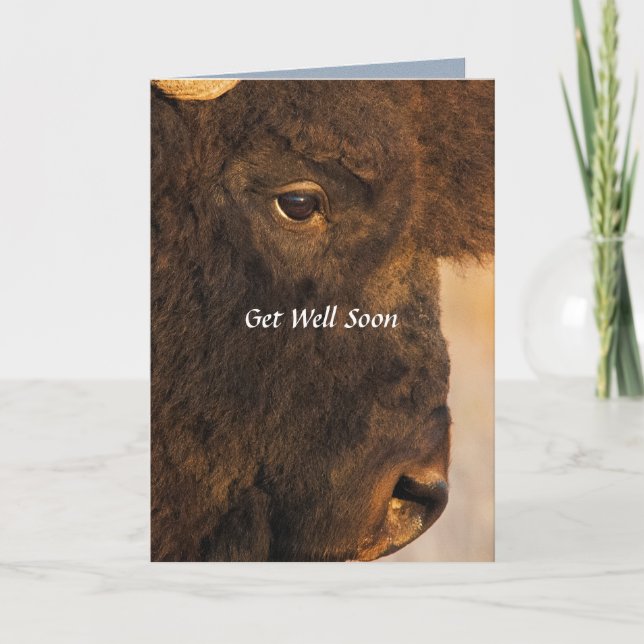 Both Ends Of The Buffalo Humourous Card (Front)