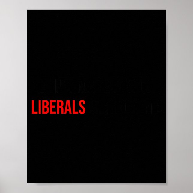 (both Side) Don't Make Fun Of Liberals Without Me  Poster (Front)