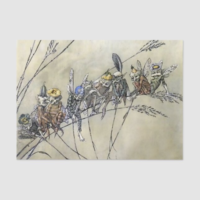 “Bother the Gnat” by A Duncan Carse Tissue Paper (Front)