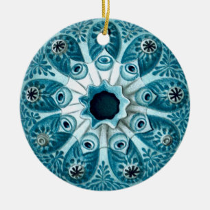 Botryllus polycyclus Ernst Haeckel Fine Art Ceramic Tree Decoration