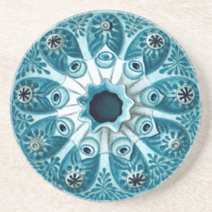Botryllus Polycyclus Ernst Haeckel Fine Art Coaster