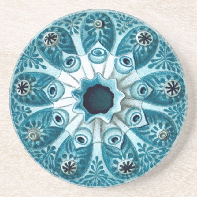 Botryllus Polycyclus Ernst Haeckel Fine Art Coaster (Front)