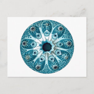 Botryllus Polycyclus Ernst Haeckel Fine Art Postcard