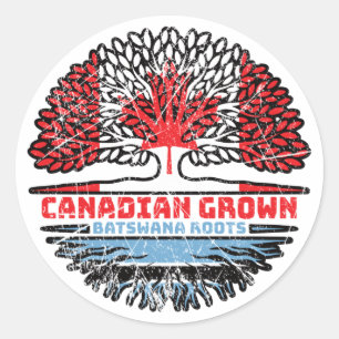 Botswana Batswana Canadian Canada Tree Roots Flag Classic Round Sticker