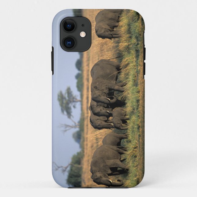 Botswana, Chobe National Park, Elephant herd Case-Mate iPhone Case (Back)